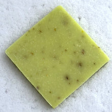 Load image into Gallery viewer, SEAWEED &amp; SAGE
